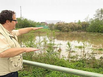 Hinter der Mainfeldhalle in Michelau gibt es schon eine Verbesserung für den Biberbach. Bei Hochwasser ist das Überschwemmungsgebiet deutlich zu sehen. Das Wasser fließt langsamer ab als früher, mehr Lebensraum für Insekten, Fische und Vögel entsteht. Fotos: Tim Birkner