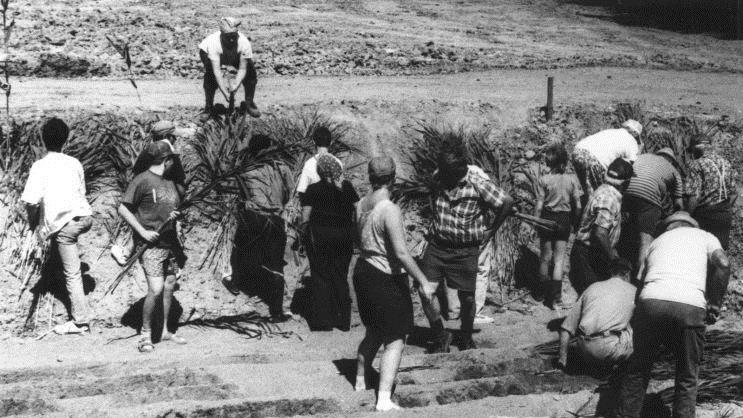 Viele fleißige Helfer bewiesen 1996 beim Anpflanzen der Schilfkläranlage von Altershausen und Sechsthal den Gemeinschaftssinn der Nachbardörfer.Archiv/G. Snater
