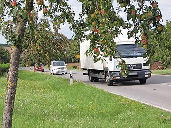 Schwer beladen: Die Zweige der Obstbäume am Ortsausgang von Buch am Forst reichen fast in die Fahrbahn.  Foto: s: Andreas Welz