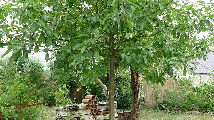 Im Garten von Katinka Uebel Foto: Sonja Schr&uuml;fer