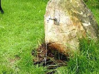 Ein großer Stein im Garten kann viele wichtige Funktionen erfüllen. In diesem Fall ist er Brunnen und Biotop zugleich.  Foto: Archiv