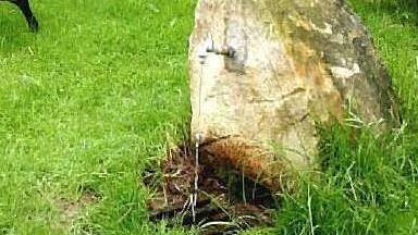 Ein großer Stein im Garten kann viele wichtige Funktionen erfüllen. In diesem Fall ist er Brunnen und Biotop zugleich.  Foto: Archiv