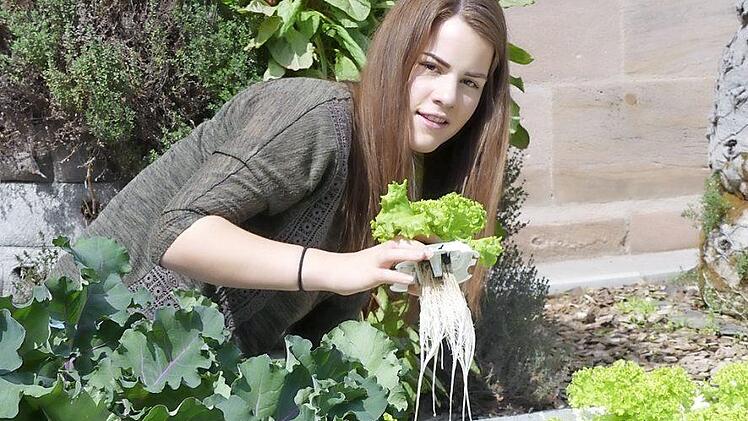 Mit ein wenig Geschick kann jeder dem Salat das Schwimmen beibringen und den Anbau im eigenen Garten revolutionieren. Foto: privat