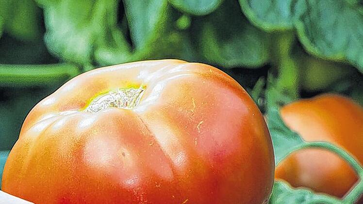 Schweres Früchtchen