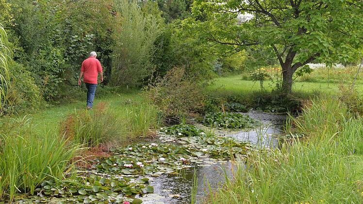 In der Lilien-Arche. Foto: Ronald Rinklef