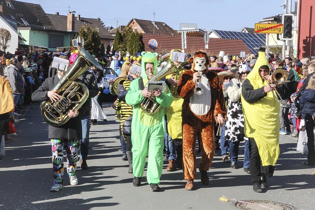Fasching 2025 in Stadtsteinach!