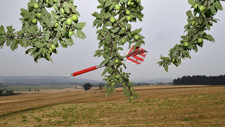 Der Pfeil geht oft seltsame Wege ... Foto: Ronald Rinklef