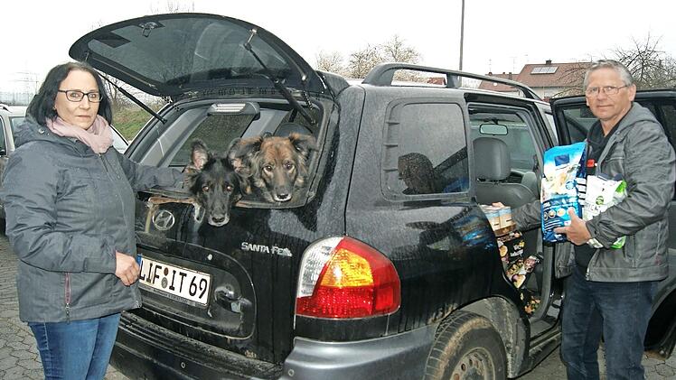 Gemeinsam mit derzeit acht Ehrenamtlichen sind Dieter Erler und seine Lebensgef&auml;hrtin f&uuml;r die Tierhilfe nah & fern im Einsatz.