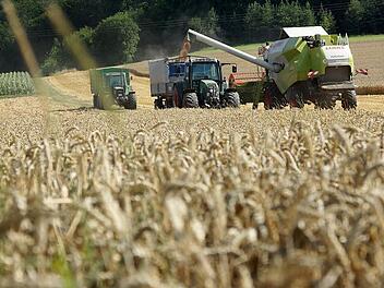 Hilfe bei den Ernten, Düngung und Transporthilfe sind wichtige Arbeitsfelder des Maschinenrings.  Foto: Arkadius Guzy