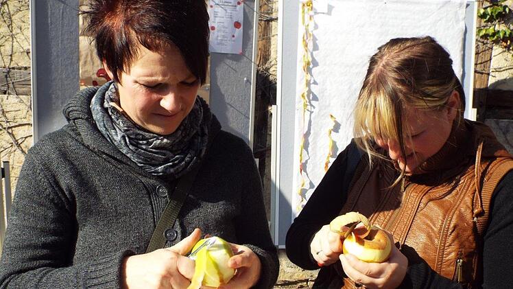 Erst die Arbeit, dann das Vergn&uuml;gen: Teilnehmerinnen beim Apfelsch&auml;lwettbewerbHarald Amon