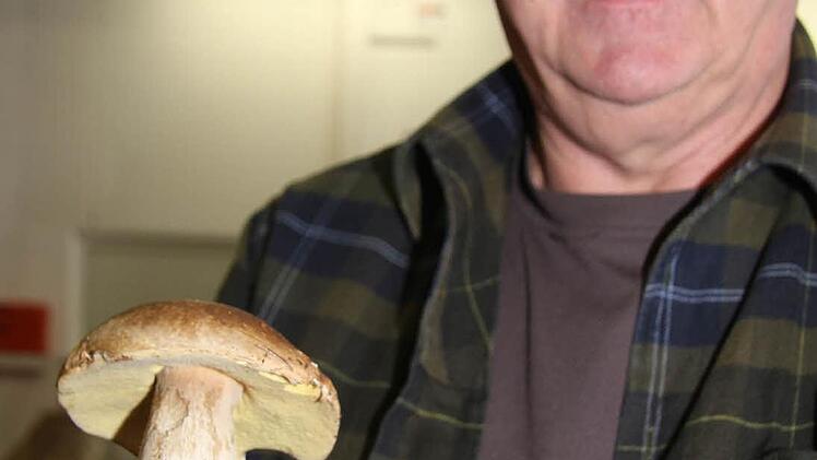 Rainer Nitsche, Pilzsachverständiger der deutschen Gesellschaft für Mykologie.