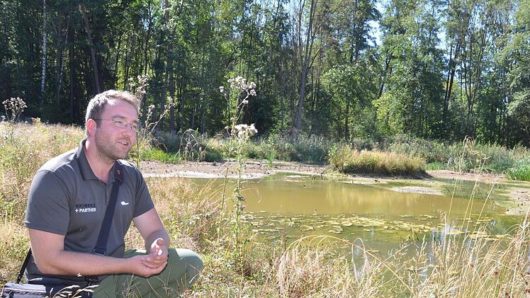 Michael Jung kniet vor einem Feuchtbiotop bei Oberfüllbach.