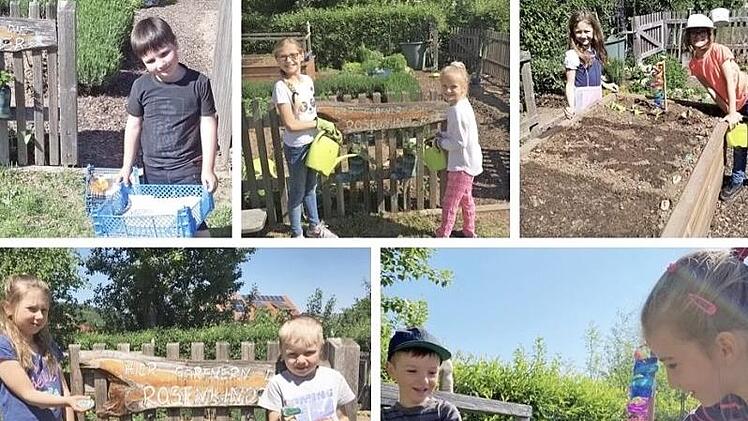 Ein Teil der "Rosenkinder" Schönbrunn bei ihrer Anpflanzaktion Foto: privat