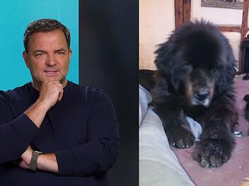 Martin R&uuml;tter bekommt eine traurige Nachricht zu H&uuml;tehund Bruno.