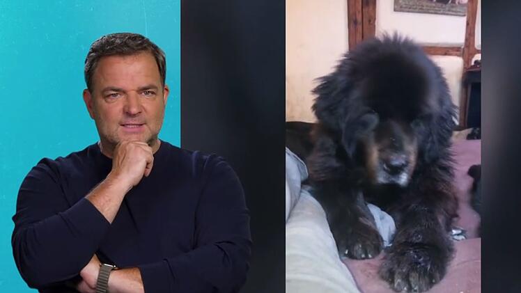 Martin R&uuml;tter bekommt eine traurige Nachricht zu H&uuml;tehund Bruno.