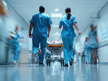 Weiterer Toter wegen Borna-Virus