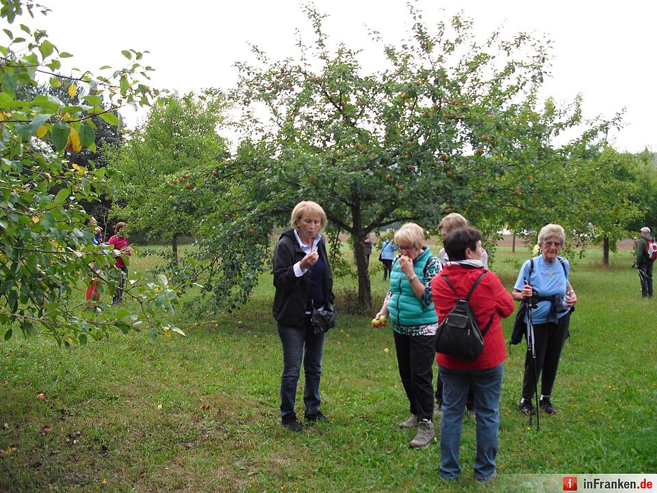 ABO Plus-Herbstwanderung Bamberg