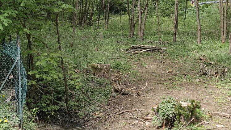 Hinter dem Areal des Frankenwaldvereins Wartenfels wird noch ein naturnaher Wasserspielplatz entstehen.
