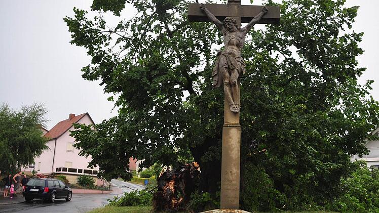 Die Linde am Heßgraben in Nüdlingen fiel dem Gewitter zum Opfer. Fotos: Arthur Stollberger