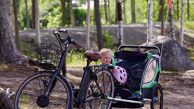 Wir sagen Ihnen, worauf Sie beim Kauf eines Kinder-Fahrradanhängers achten müssen. Bild: pixabay/Tjena