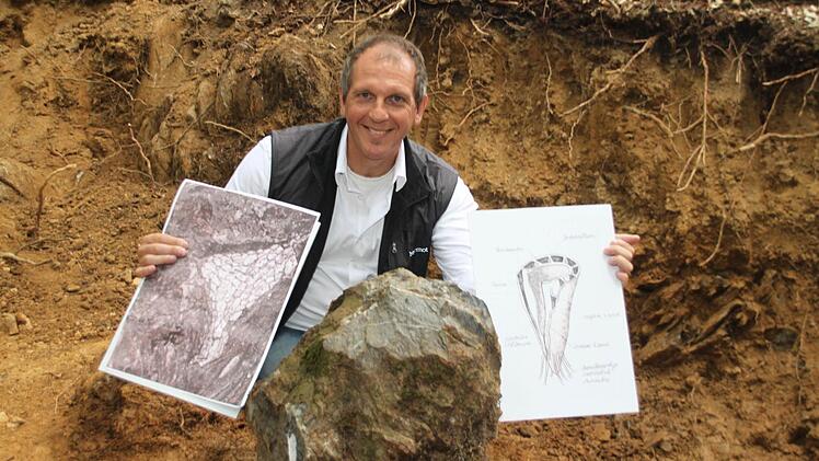 Roland Eichhorn, der Leiter des geologischen Dienstes am Landesamt für Umwelt in Augsburg, hinter dem Kalkstein, in dem die Versteinerungen entdeckt worden sind. Er zeigt Bilder, auf denen ein Querschnitt der Kelchtiere zu sehen ist, die vor 520 Millionen Jahren lebten und erste Riffe bildeten.
