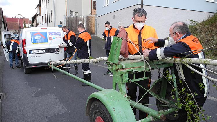 Mit einem speziellen Anhänger erfolgt der Transport des Baumes. Foto: ssp