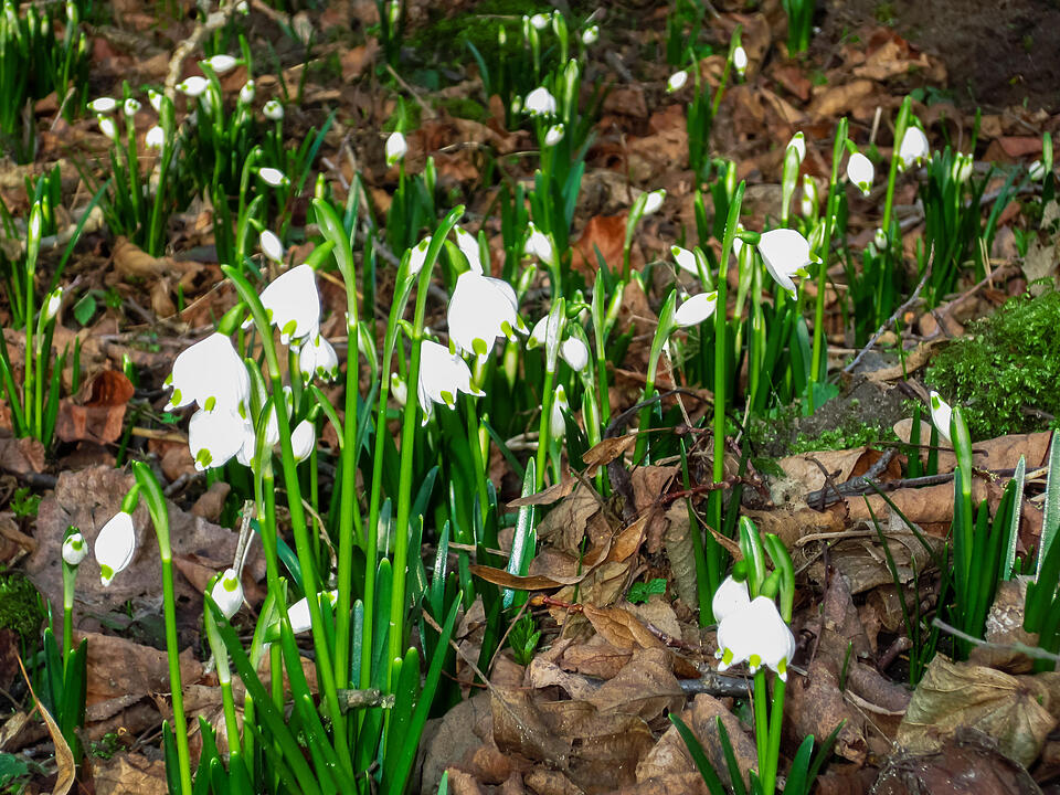 Fotos Konrad Thomann