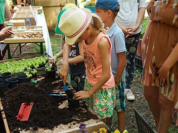 Bamberg: Tag der offenen Gärtnereien zum neunten Mal in Bamberg