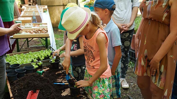 Bamberg: Tag der offenen Gärtnereien zum neunten Mal in Bamberg
