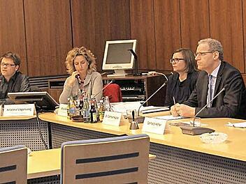 Landschaftsplaner Sebastian Klebe (von links), Städteplanerin Kristina Vogelsang, Anja Wettstein und Bürgermeister German Hacker stellten sich den Fragen zum Bebauungsplan.  Foto: Richard Sänger
