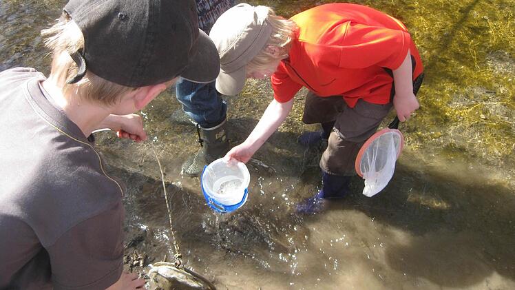 Gummistiefel, Käscher und Ferngläser gehören zur Grundausstattung für den Erlebnispfad Mainaue am Hochreinsee. Die Natur kann hier hautnah erkundet werden.