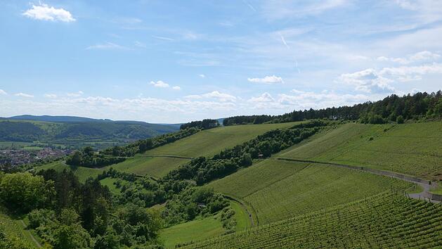 Eine spirituelle Wanderung veranstaltet der Schriftsteller Georg Magirius am 14. September oberhalb von Hammelburg. Foto: Georg Magirius