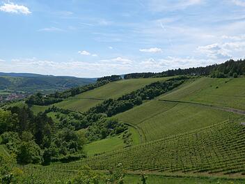 Eine spirituelle Wanderung veranstaltet der Schriftsteller Georg Magirius am 14. September oberhalb von Hammelburg. Foto: Georg Magirius