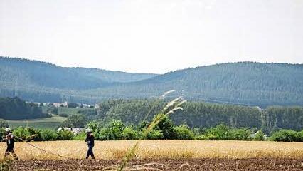 Auf der talwärts gewandten Seite grenzt ein Getreidefeld