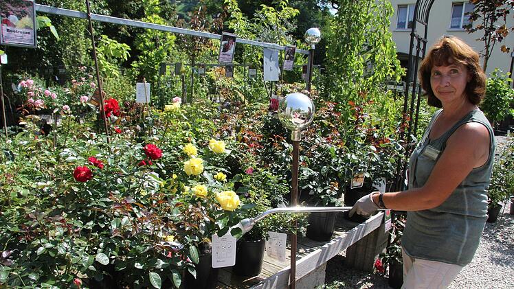 Anne Schüll (51) arbeitet in einer Gärtnerei. Vor allem Sträucher, Hartriegel und Bäume, die im Gartencenter Terra Rosa wachsen, dürsten bei solchen Temperaturen. "Wenn Sträucher in kleinen Töpfen stehen, dann müssen sie jetzt einfach öfters gegossen werden", sagt sie und gibt ihnen ein bisschen Wasser. Foto: Sonny Adam