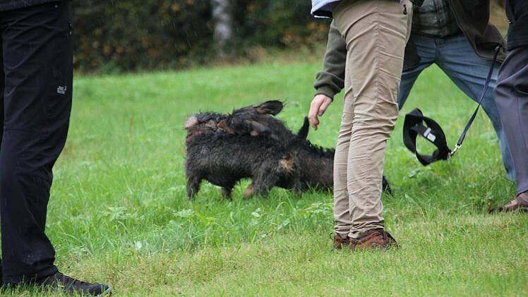 Foto: Mariell Dörrschmidt