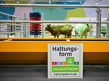 Vor der 90. Internationalen Gr&uuml;ne Woche