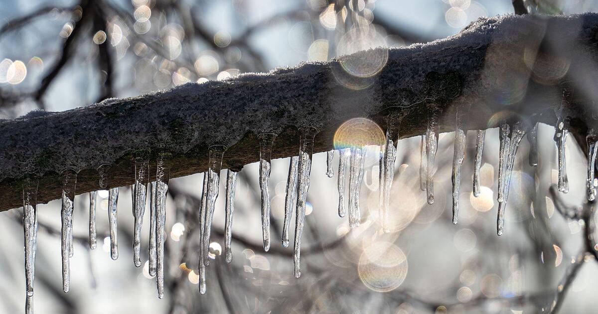 Frost-N-chte-und-Sonnen-Tage-So-wird-das-Franken-Wetter-diese-Woche