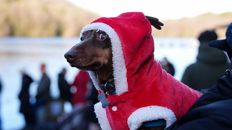 Weihnachtsbaden in Birmingham