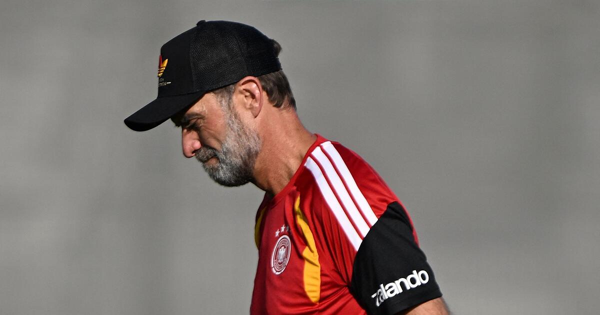 Nationalmannschaft: Didi Hamann sieht in Klopp-Elf keinen Platz für ...