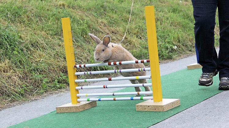 Kanin-Hop bedeutet gemeinsame Besch&auml;ftigung von Mensch und Kaninchen.  Foto: pr