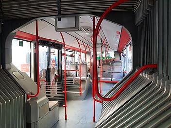 Bus Bamberg Symbol