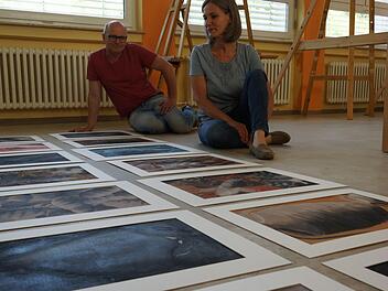 Die Reblaus ist zurück - auf den Bildern, die Bernhard Gößmann-Schmitt und Thea Keßler für die Kunstwoche 2017 in Ramsthal gesammelt haben. Foto: Arkadius Guzy/Archiv