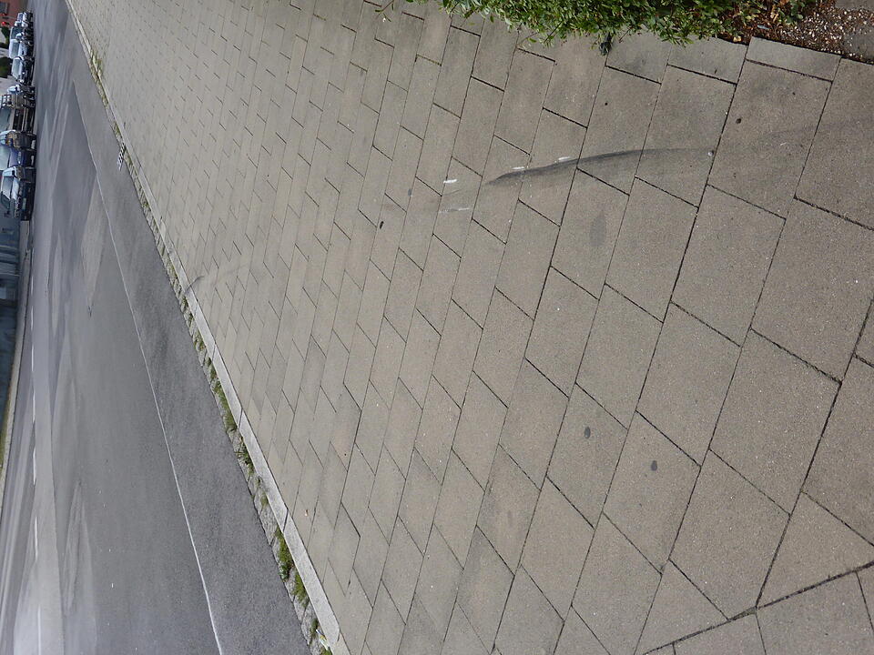 Betrunkener rast in Bamberger Vorgarten