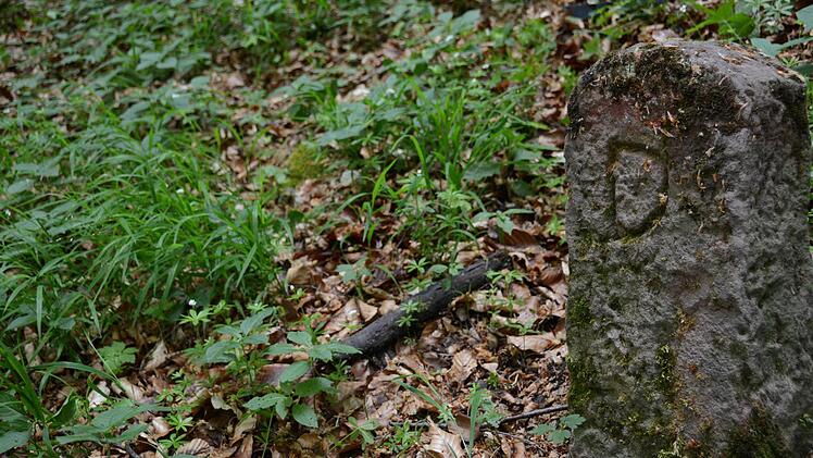 Grenzsteine im Buchenwald am Grabenloch am Fuße des Sodenbergs: UH steht für Universität Herbipolis Würzburg, auf der Rückseite D für Diebach. Foto: Elisabeth Assmann