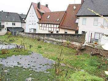 Auf dem Gelände der ehemaligen Gärtnerei Keupp soll in Eltmann ein Altstadtparkplatz entstehen - wenn es einen Zuschuss aus der Städtebauförderung gibt, wie die Regierung von Unterfranken signalisiert hat.  Foto: Sabine Weinbeer