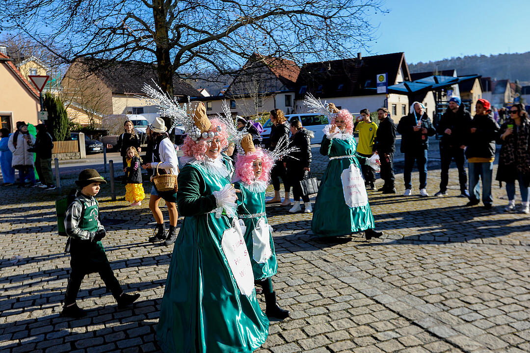 Fasching in Sand am Main!