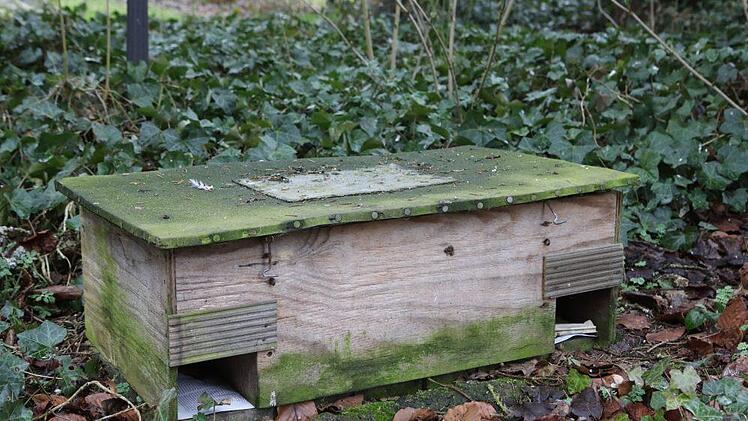 Foto: Barbara Herbst