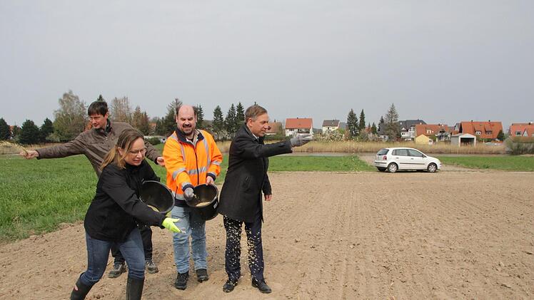 Warfen bei Untermembach die ersten Blumensamen auf den Landkreis-Acker, von links: Angelika Schiffer, Thomas Schierhorn, Gerhard Köhler und Alexander Tritthart.  Fotos: Andreas Dorsch