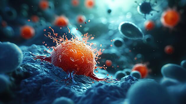 Gesunde Ern&auml;hrung: Diese 5 Lebensmittel erh&ouml;hen dein Krebsrisiko